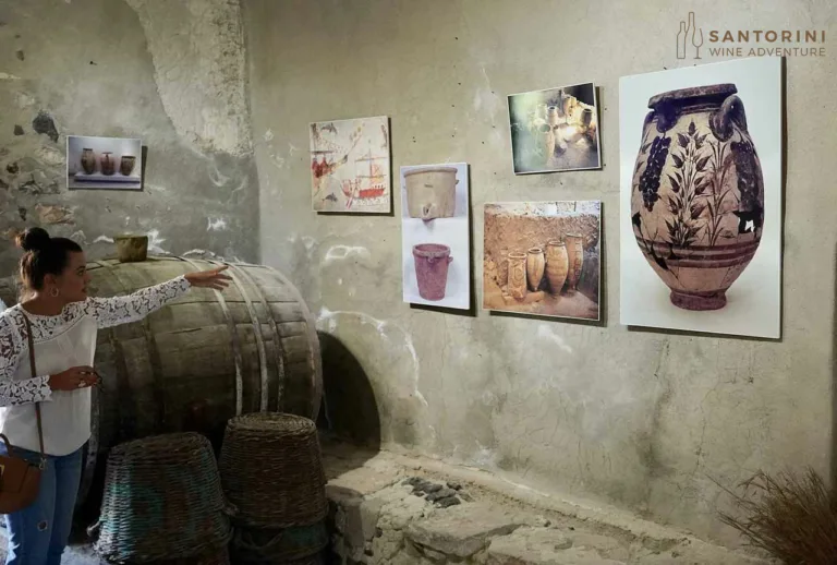 Private Tour: Ancient Akrotiri and Santorini Wineries