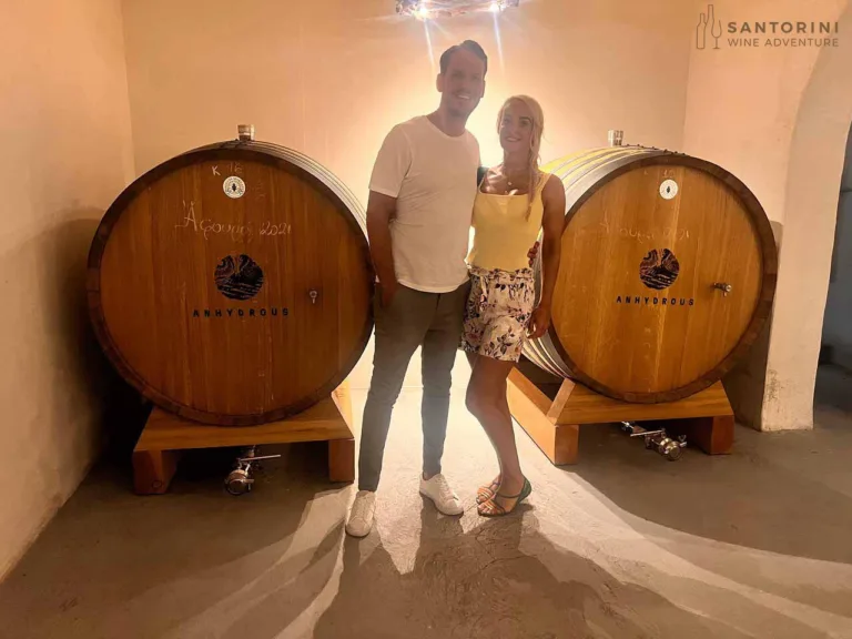 Private Tour: Santorini Wine Adventure