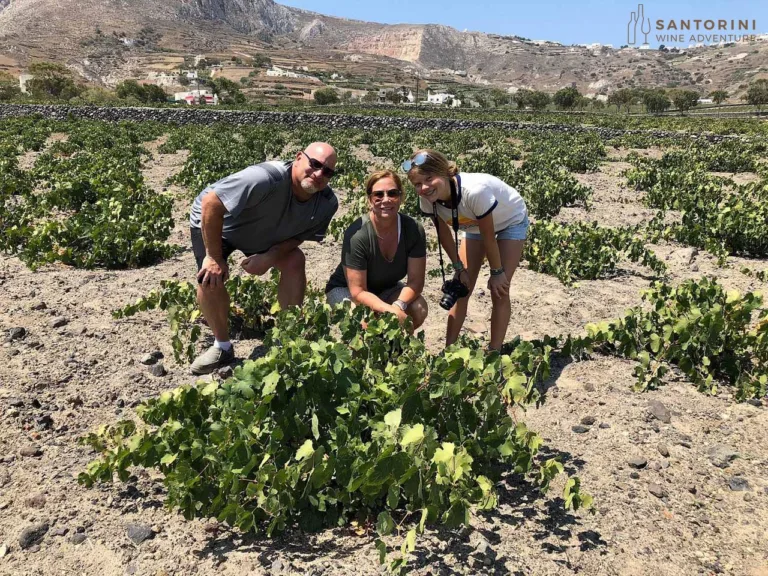 Private Tour: Great Wines and Santorini Famous Towns