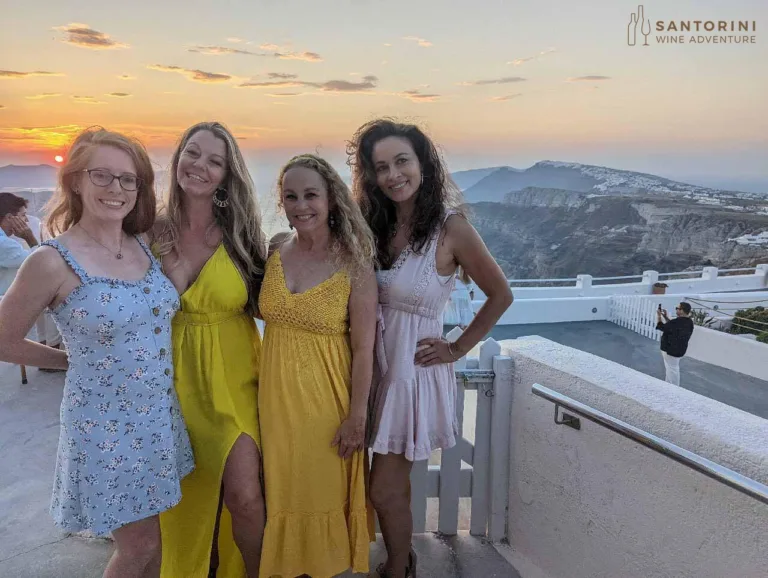 Private Tour: Great Wines and Santorini Famous Towns