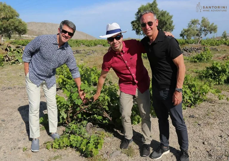 Private Tour: Santorini Wine Adventure