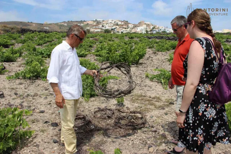 Private Tour: Great Wines and Santorini Famous Towns