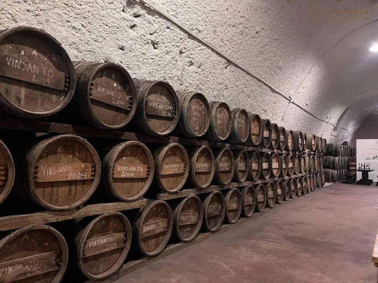 Private Tour: Great Wines and Santorini Famous Towns