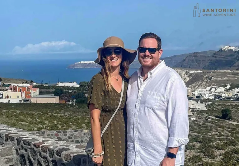 Private Tour: Great Wines and Santorini Famous Towns