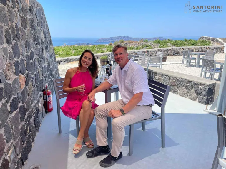 Private Tour: Great Wines and Santorini Famous Towns