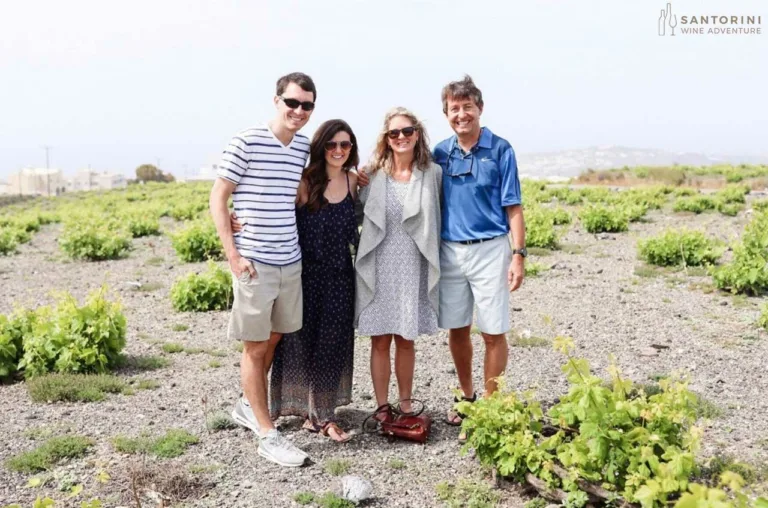 Private Tour: Great Wines and Santorini Famous Towns