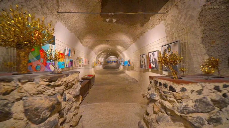 Private Tour: Ancient Akrotiri and Santorini Wineries