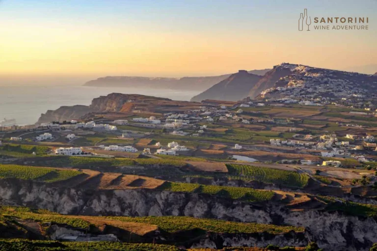 Private Tour: Great Wines and Santorini Famous Towns