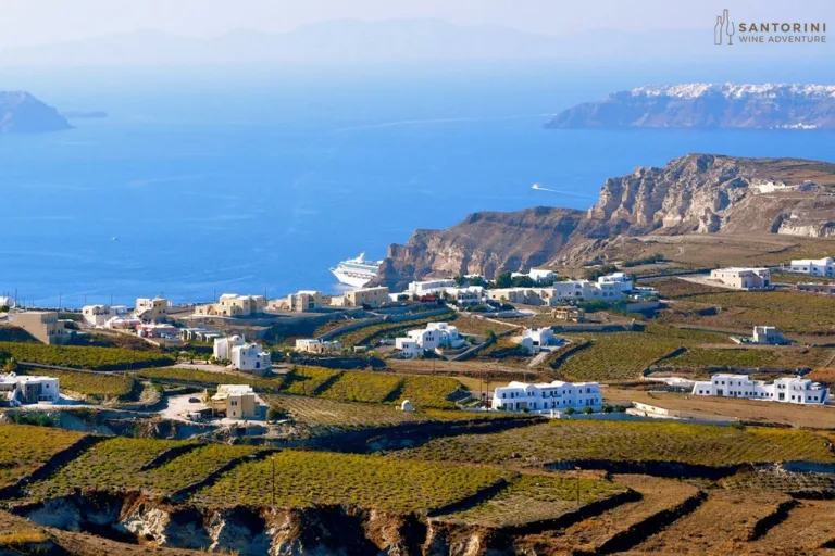 Private Tour: Great Wines and Santorini Famous Towns