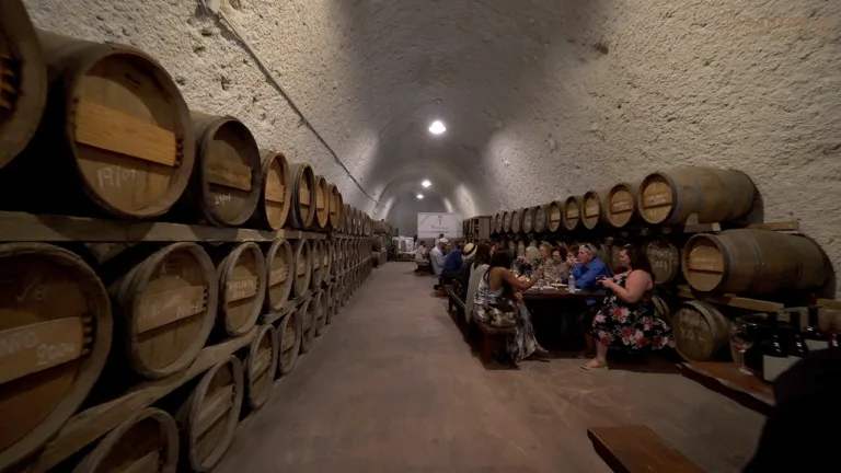 Private Tour: Great Wines and Santorini Famous Towns