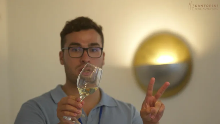 Santorini Wine Adventure: Daytime Tour