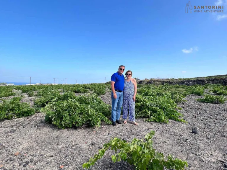 Private Tour: Great Wines and Santorini Famous Towns