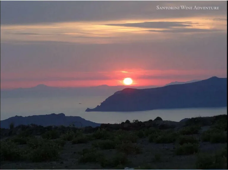 Santorini Wine Adventure: Sunset Tour